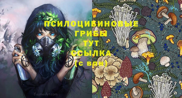 ешки Абинск