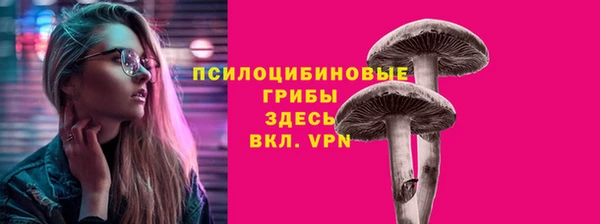 ешки Абинск