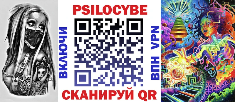 как найти закладки  Дмитриев  Псилоцибиновые грибы GOLDEN TEACHER 
